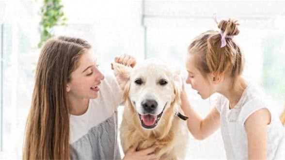 说说养宠物那些的注意事项