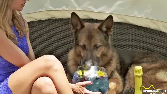 一条狗身价24亿，12个仆人全天待命，每次吃饭都有美女陪伴