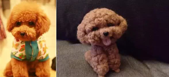 狗狗的毛发褪色了是什么原因?