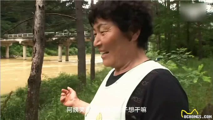 狗狗非常懂得持家，每天嘴里咬着石头，主人也是一脸懵