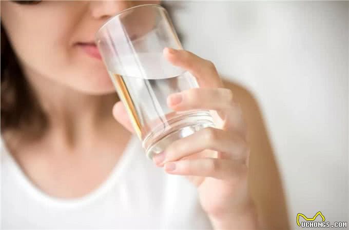 宠物到底用不用喂盐?为什么野生动物不用吃盐，而人却不吃不行?