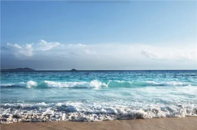 宠物到底用不用喂盐?为什么野生动物不用吃盐，而人却不吃不行?