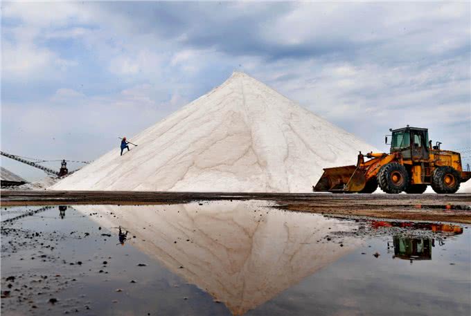 宠物到底用不用喂盐?为什么野生动物不用吃盐，而人却不吃不行?