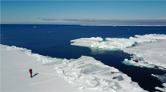 宠物到底用不用喂盐?为什么野生动物不用吃盐，而人却不吃不行?