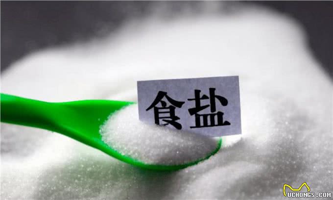 宠物到底用不用喂盐?为什么野生动物不用吃盐，而人却不吃不行?