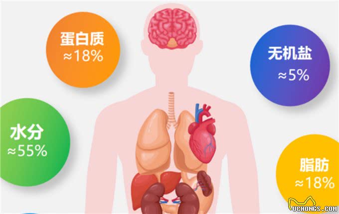 宠物到底用不用喂盐?为什么野生动物不用吃盐，而人却不吃不行?