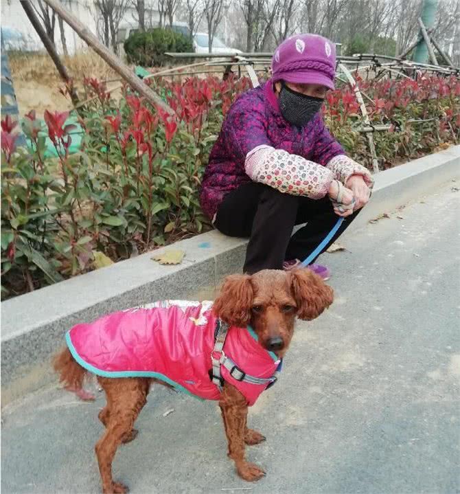 我们为什么越来越爱狗?原来养狗有这些好处