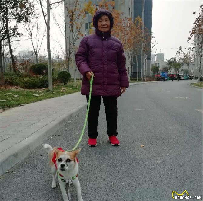 我们为什么越来越爱狗?原来养狗有这些好处