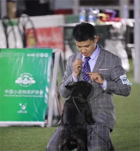 我们为什么越来越爱狗?原来养狗有这些好处