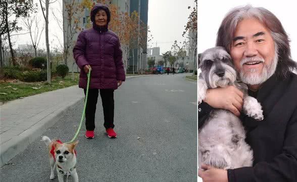 我们为什么越来越爱狗?原来养狗有这些好处