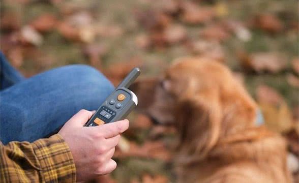 遛狗时告别缠绕，全球首款虚拟狗链亮相