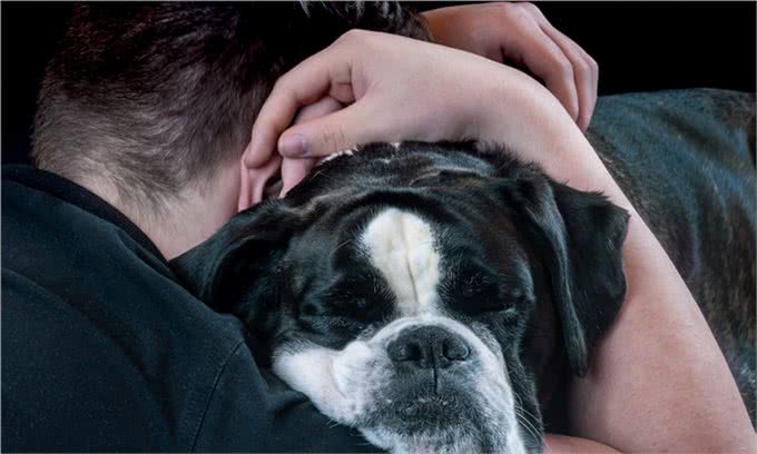 12个让狗狗快乐的方法