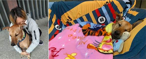 出门三天，抱着狗狗超不舍，狗狗表情却无奈，到底是谁分离焦虑?