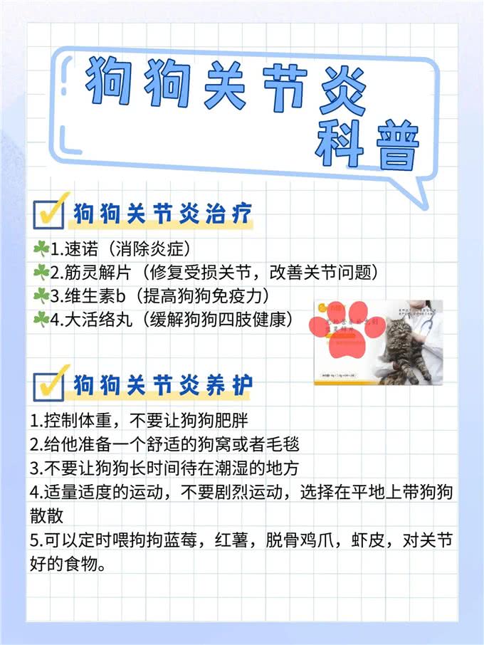 你知道狗狗关节炎吗?不知道快来看