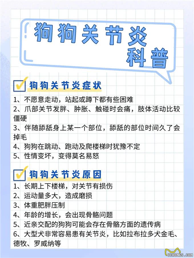 你知道狗狗关节炎吗?不知道快来看