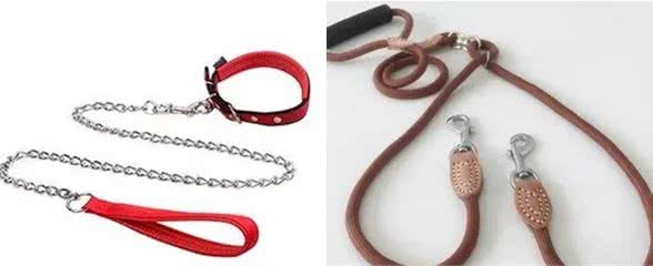 遛狗一定要拴绳!那么，牵引绳你选对了吗?