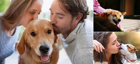 原来狗狗把你当亲妈，会有这些表现，别傻傻不知