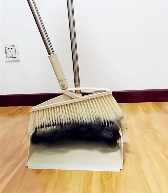 自从养了宠物之后，才知道家里备上这些东西，真的太有必要了
