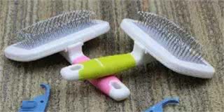 狗狗的日常用品你都备齐了吗?