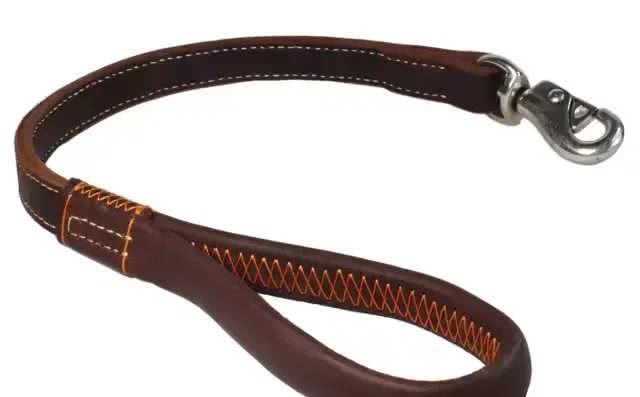 狗狗的日常用品你都备齐了吗?