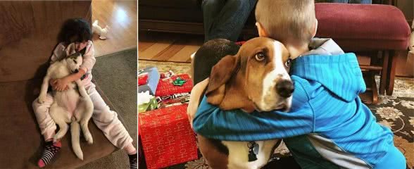 狗狗被抱住，在它眼中，有这些意思