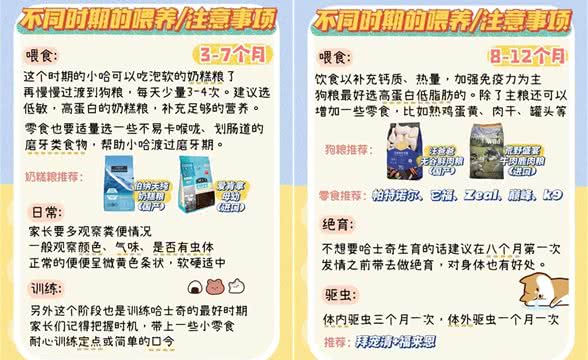 超详细哈士奇不同时期喂养手册