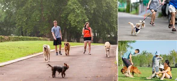 哪些人会害怕狗狗