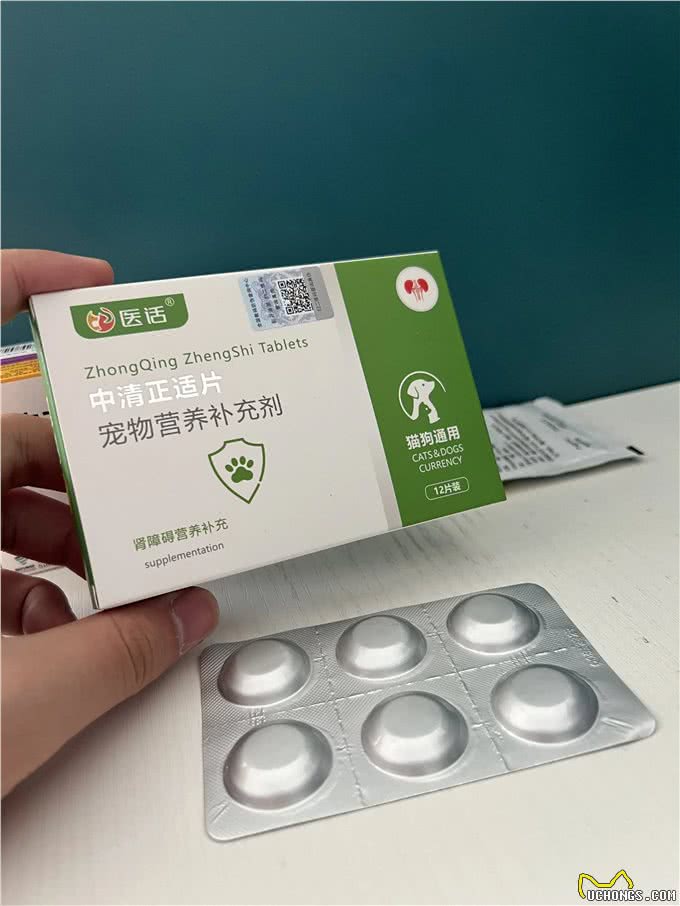 狗狗肾衰竭,请一定要好好照顾狗狗