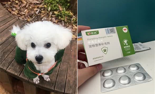 狗狗肾衰竭，请一定要好好照顾狗狗