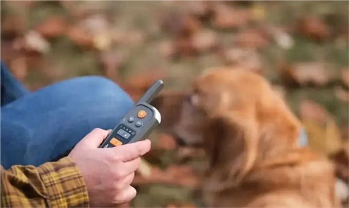 黑科技再现!重新定义遛狗:Roam350虚拟狗绳的潜力与挑战