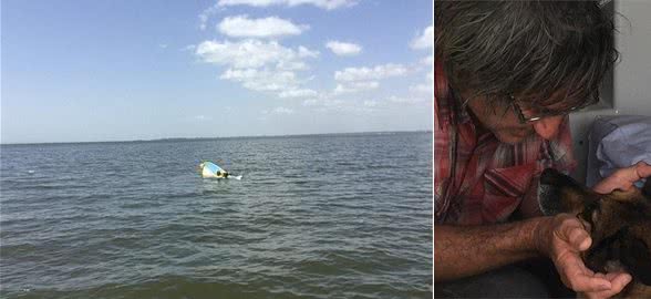 忠犬!澳洲老人出海沉船，所养德牧竟在海中狗刨11小时救回主人