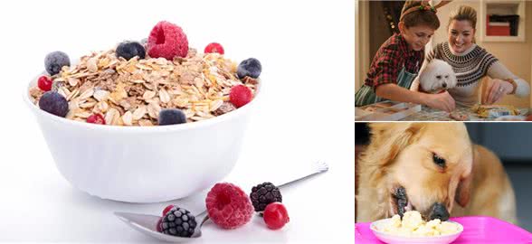 狗狗吃了对身体有益的几种食物，好吃还很营养