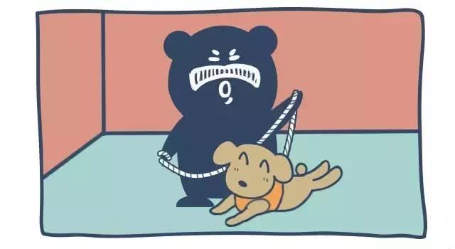 狗狗随行训练，干货分享