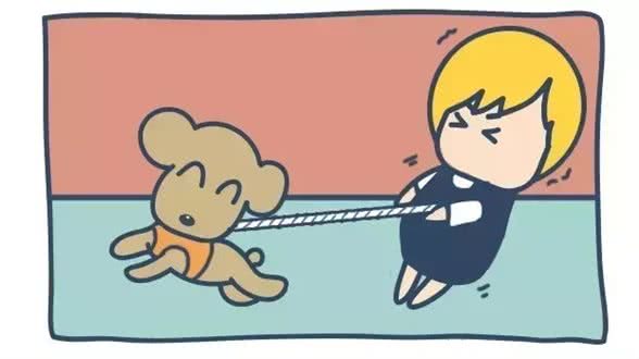 狗狗随行训练，干货分享