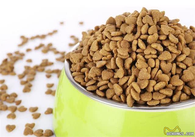 狗粮到底怎么选?新手养狗狗粮推荐