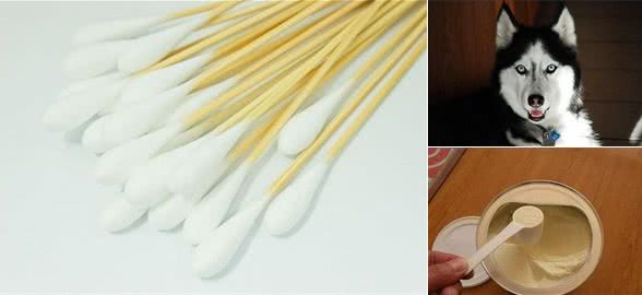 狗鼻子上长癣能自愈吗