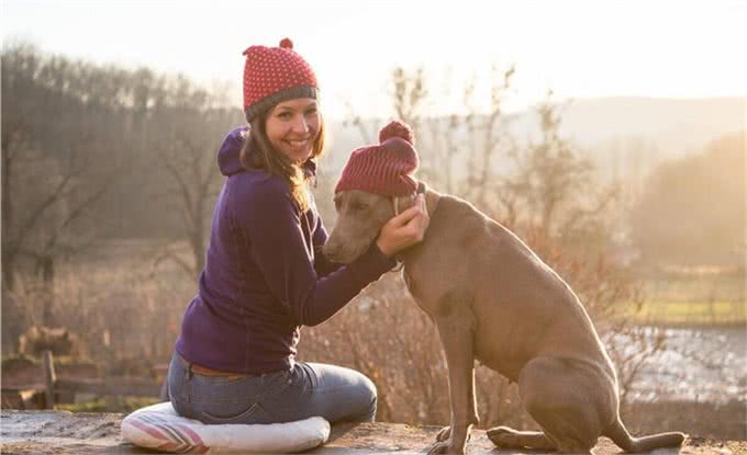 善于狩猎的威玛猎犬，你了解多少呢?