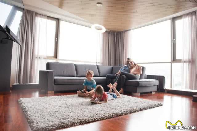 小狗成长的隐患:四大禁忌,稍有不慎可能危及生命!