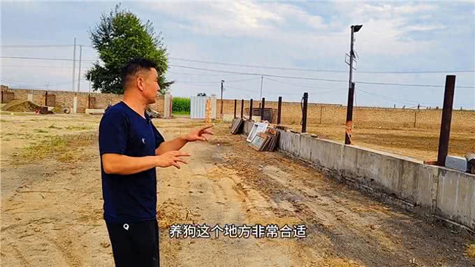 想养狗却没有场地，或者不会管的朋友们，福音来啦