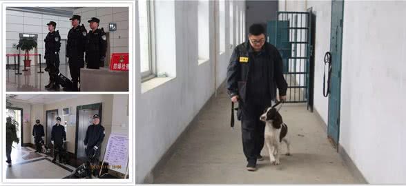 特殊的狗狗和它们的主人