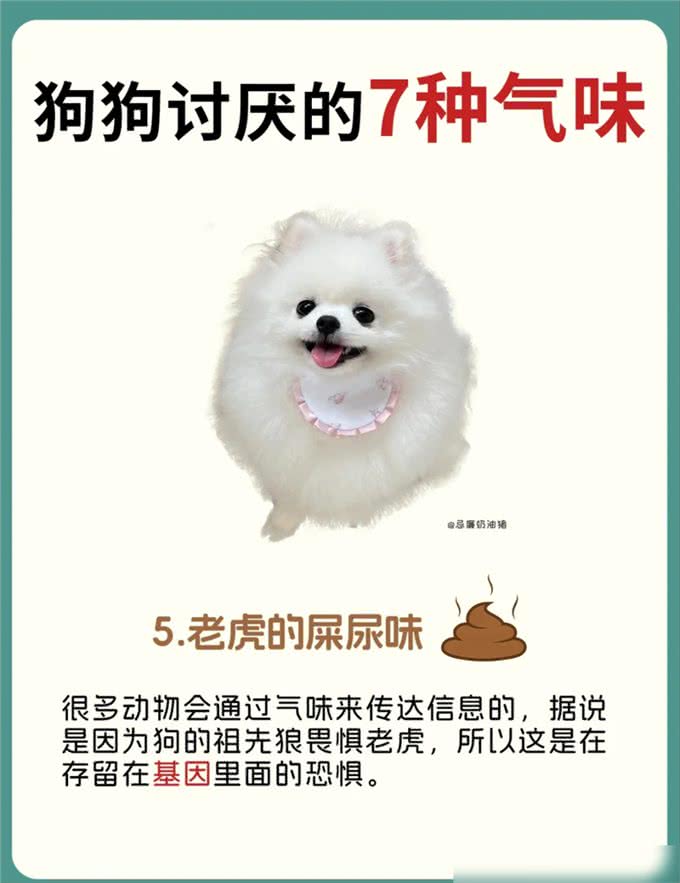 原来狗狗讨厌这7种气味，怪不得每次逃那么快!
