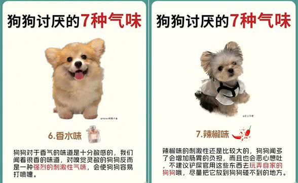 原来狗狗讨厌这7种气味，怪不得每次逃那么快!