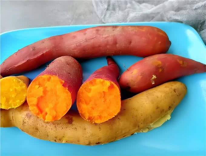 不怕告诉你,这9种食物对狗狗来说,堪称人间美味