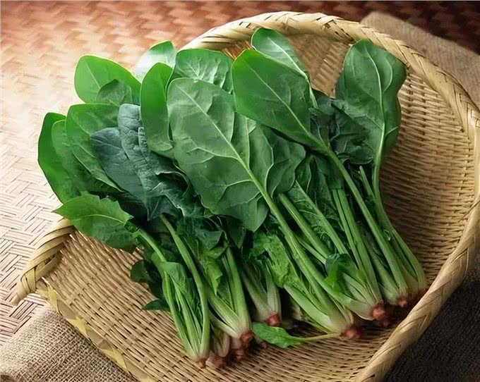 不怕告诉你,这9种食物对狗狗来说,堪称人间美味