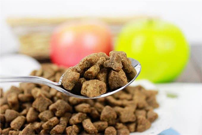 不怕告诉你,这9种食物对狗狗来说,堪称人间美味