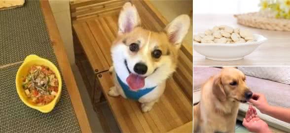养宠健康篇:狗狗吃的微量元素多少钱一瓶