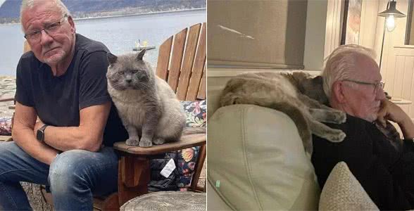 大叔对猫无感，遇到这只猫后变猫奴，网友笑：一看就是像亲生的!