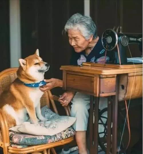 据说，只有养狗的人才能体会到的幸福和快乐