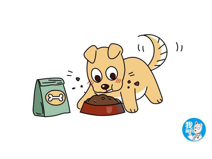 幼犬犬粮和奶糕是同一个东西吗?有什么区别?又能不能代替呢?