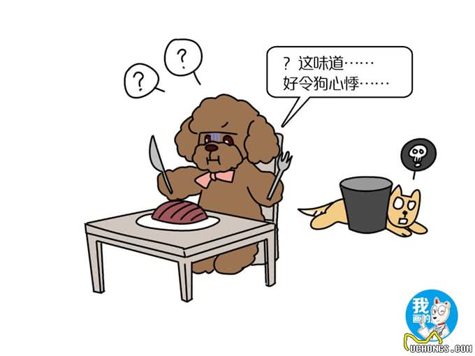 幼犬犬粮和奶糕是同一个东西吗?有什么区别?又能不能代替呢?